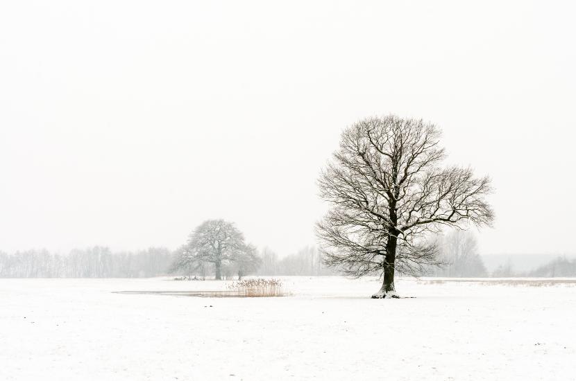 2013_03_29_0106_TELE_LR