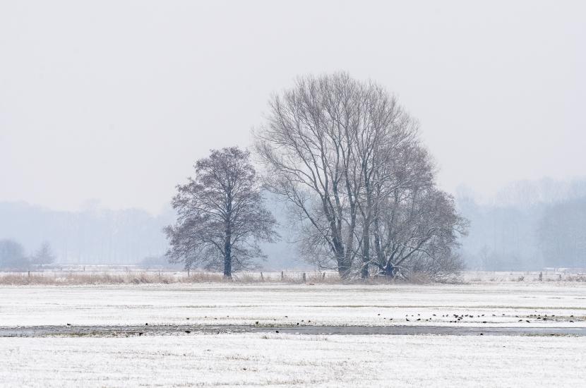 2013_03_29_0164_TELE_LR