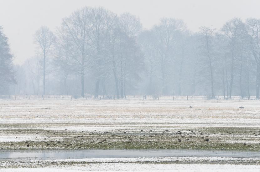 2013_03_29_0237_TELE_LR