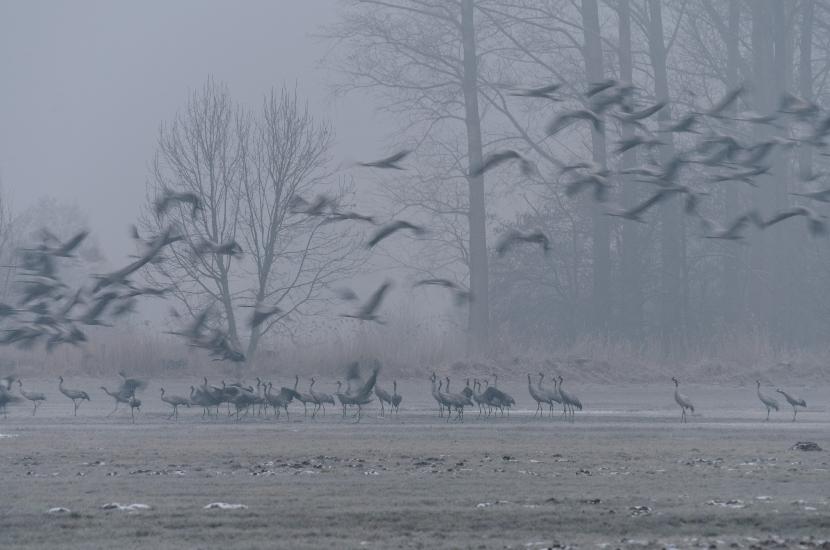 2013_03_30_0288_TELE_LR