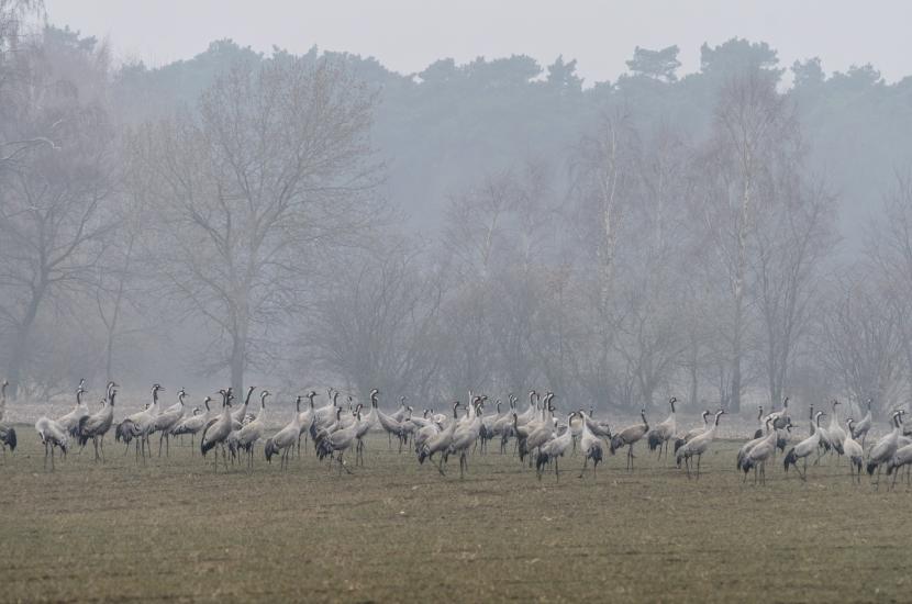 2013_03_30_0463_TELE_LR