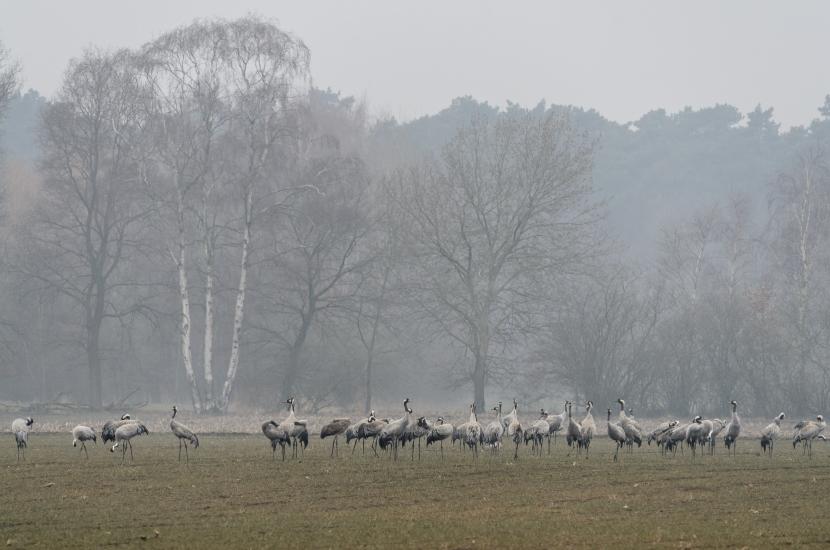 2013_03_30_0526_TELE_LR