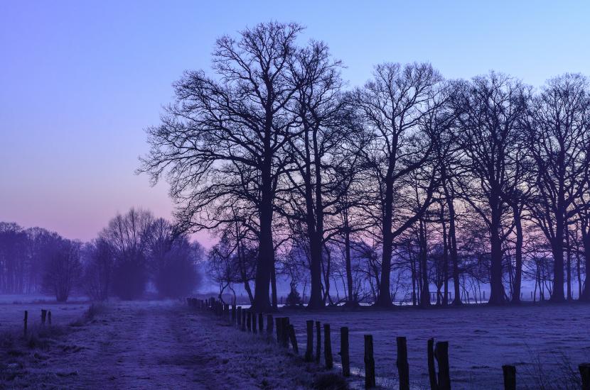 2013_04_01_0012_TELE_LR