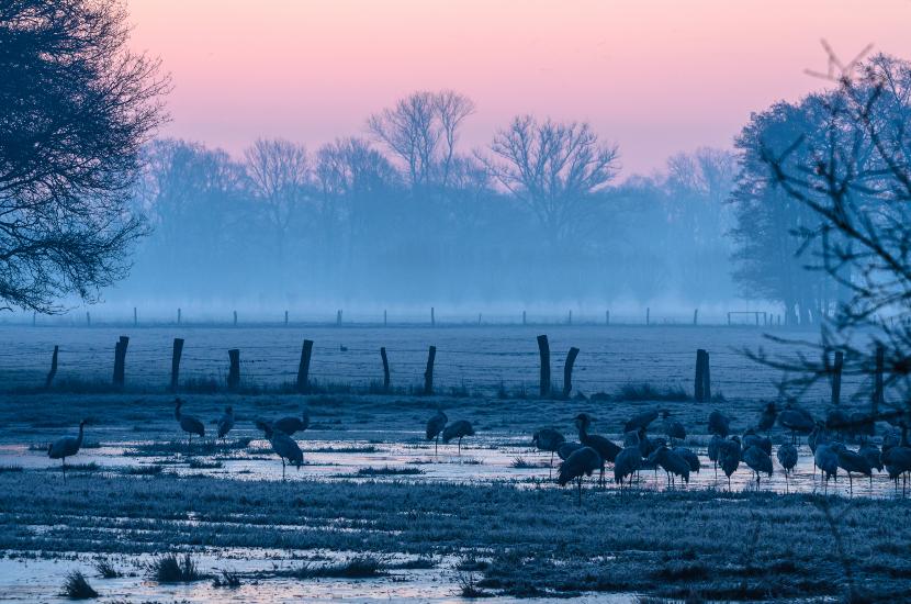 2013_04_01_0016_TELE_LR