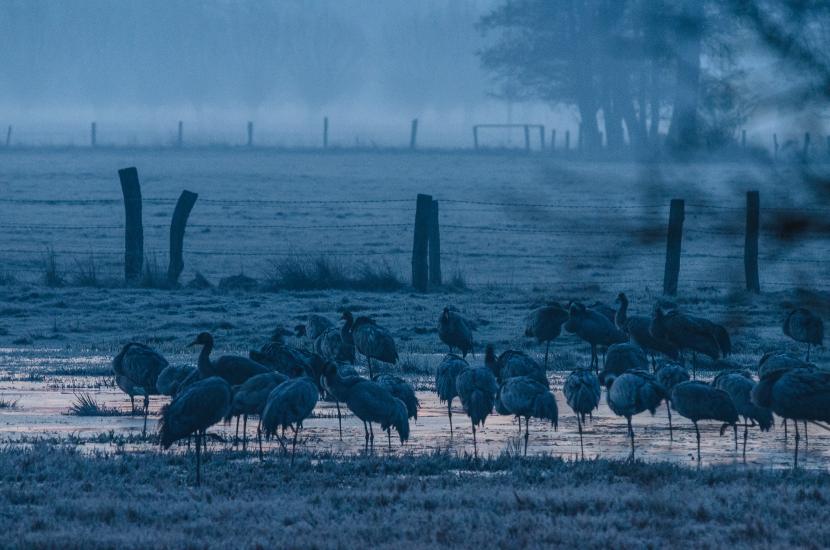 2013_04_01_0027_TELE_LR