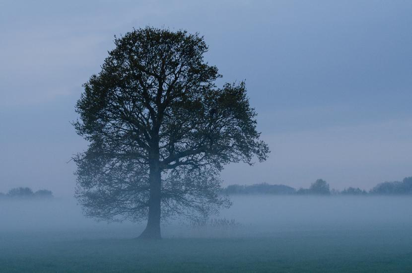 2013_05_05_0219_Tele_LR