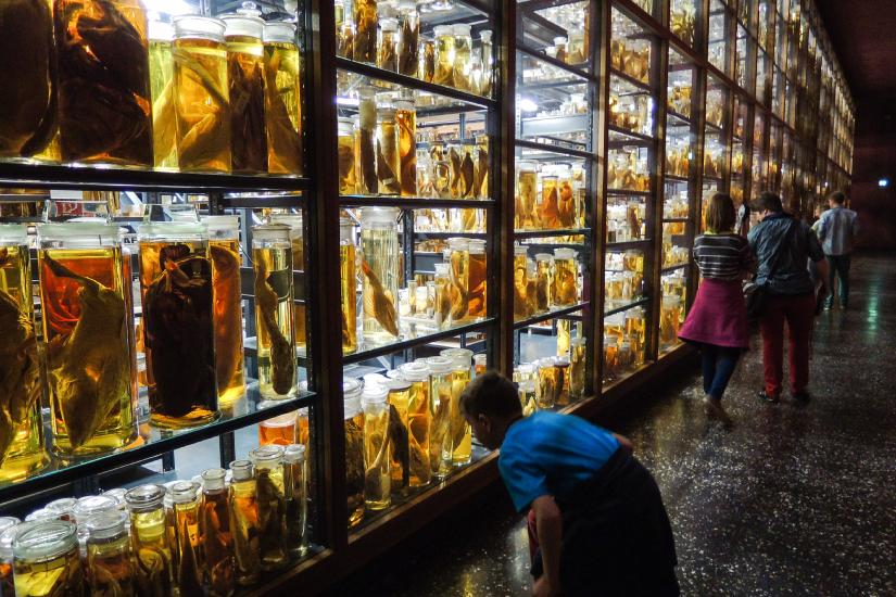 2013_05_11_0811_Berlin_P310_LR