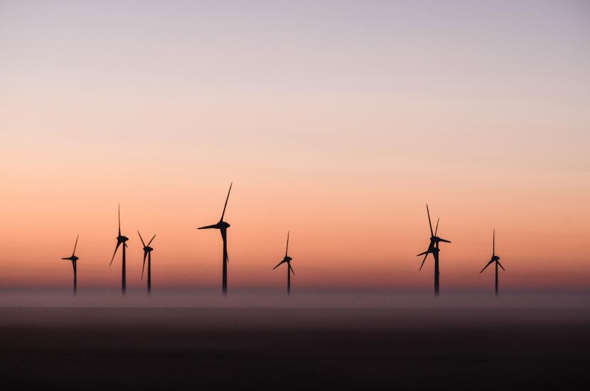 2013_07_22_0017_FehmarnMakro_LR