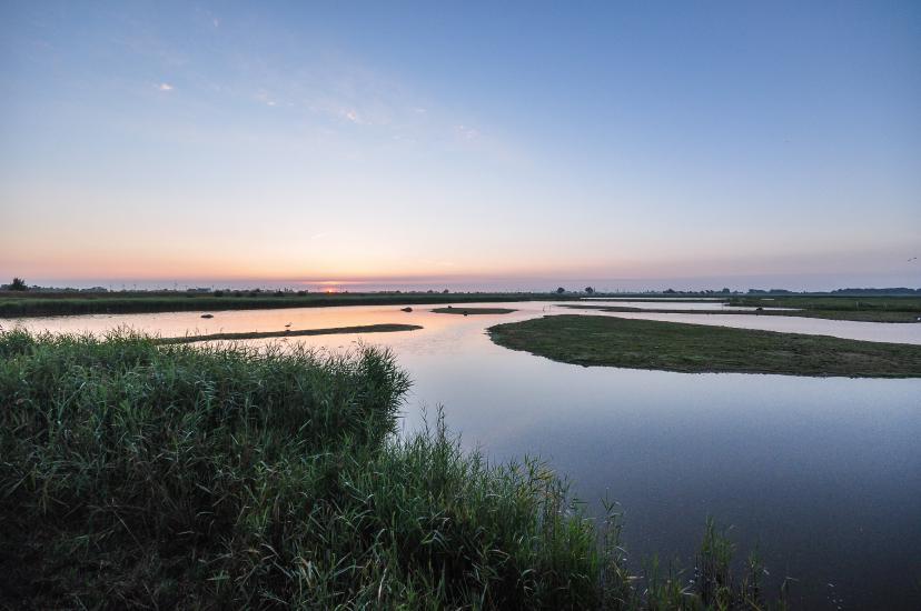 2013_07_23_0027_FehmarnWW_LR