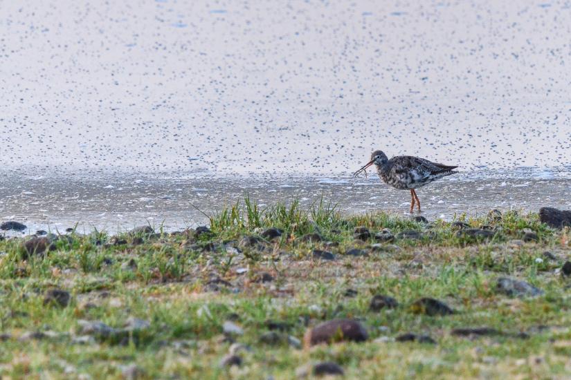 2013_07_23_0869_FehmarnTeleI_LR