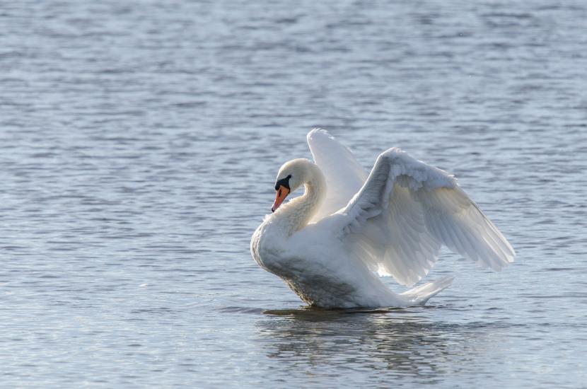 2013_10_03_0044_Tele_LR