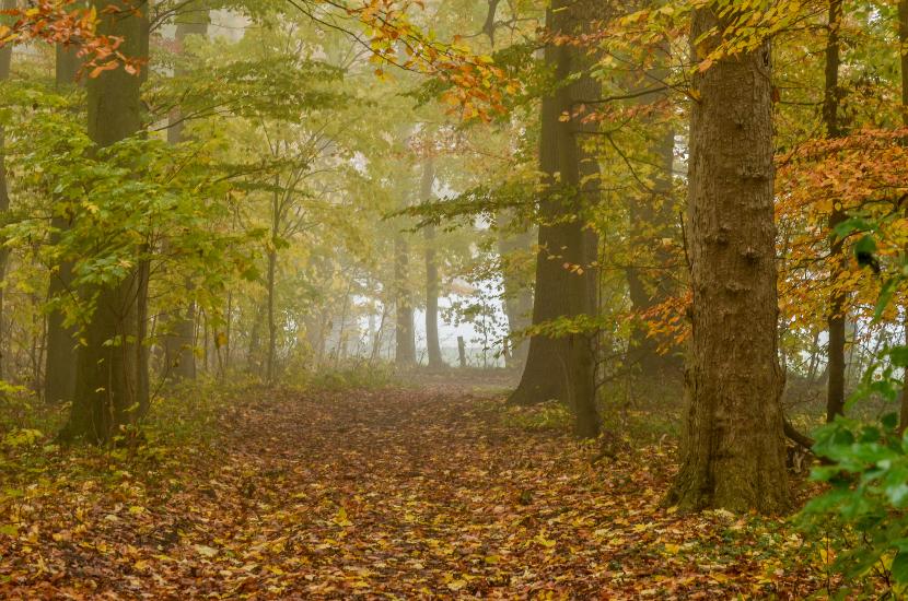 2013_11_16_0043_RAWvsJPG_LR1