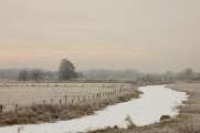 2009_01_03_91_Winter