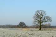2012_01_28_0026_DiverseP7100