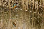 2009_12_03_Rieselfelder (35)